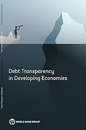 شفافية الديون في الاقتصادات النامية