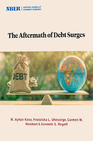 The Aftermath of Debt Surges
