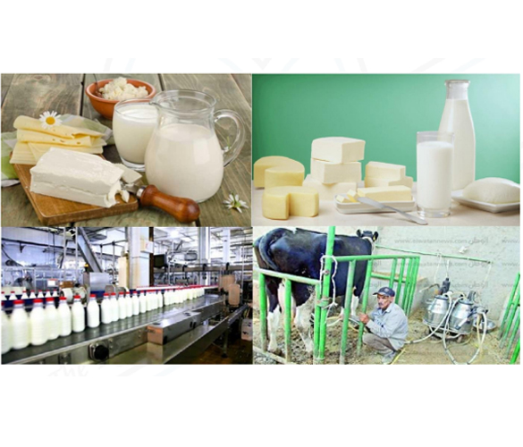 Views on the Crisis – (Manufacturing Industries – Cont’d)Industries that Benefited from the Crisis Food Industries: Dairy Products