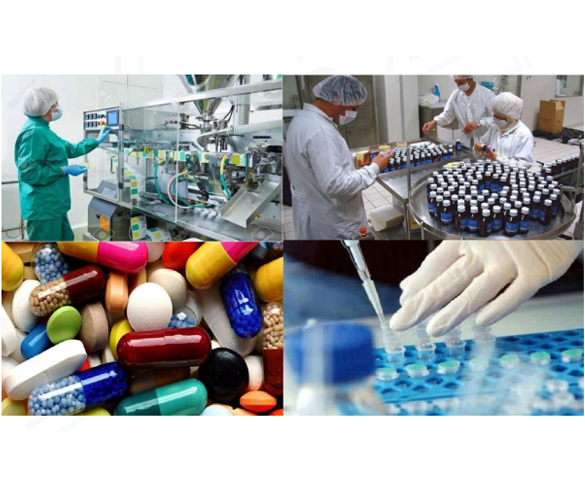 Views on the Crisis – Manufacturing Industries (cont’d) Industries that Benefited from the crisis: Pharmaceutical Industries